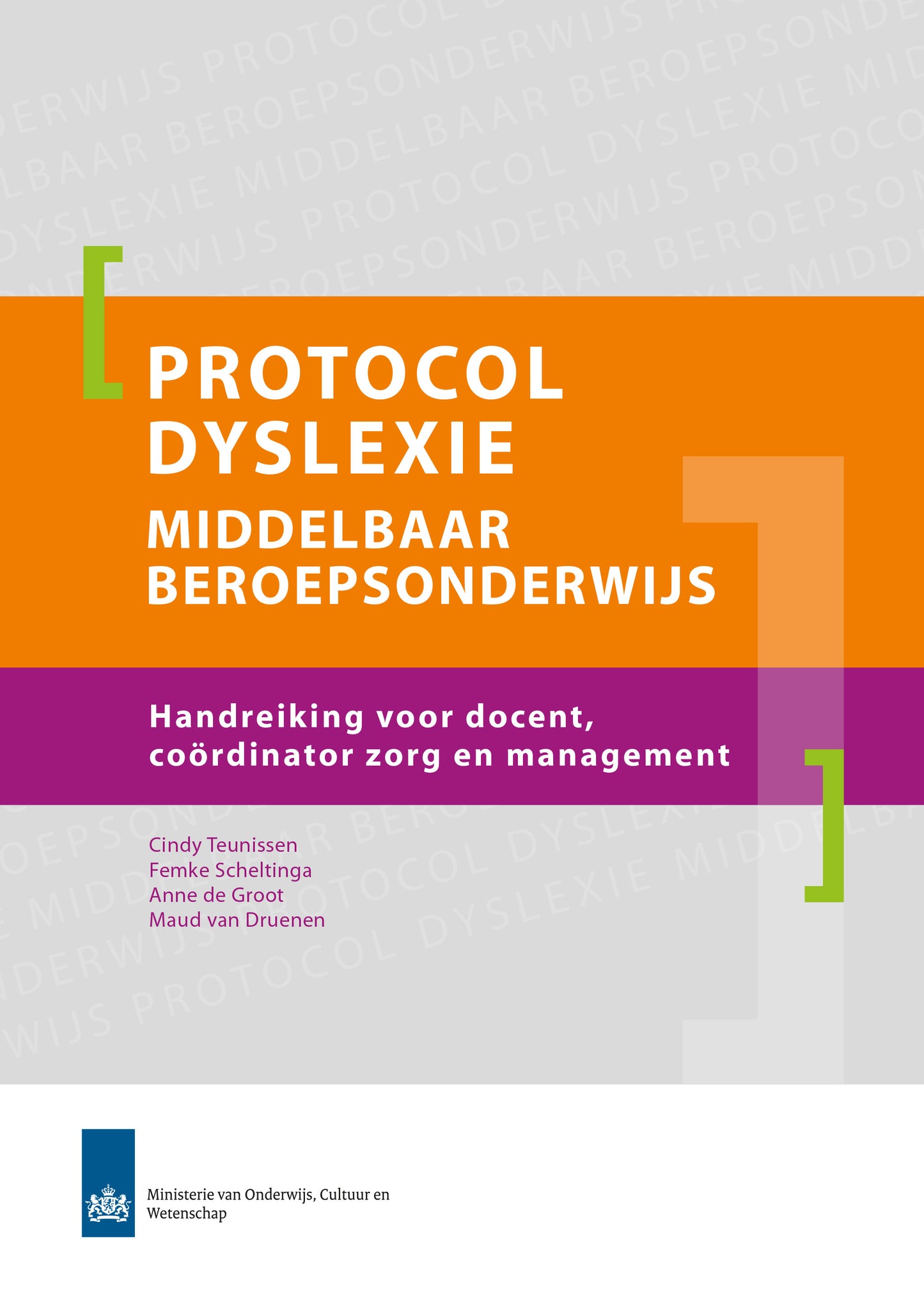 Protocol Dyslexie MBO